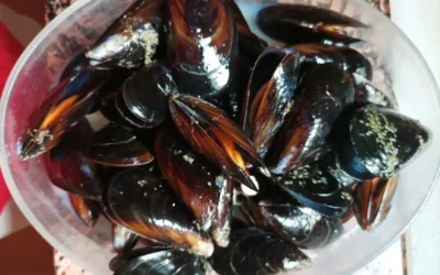 Mejillones al vapor